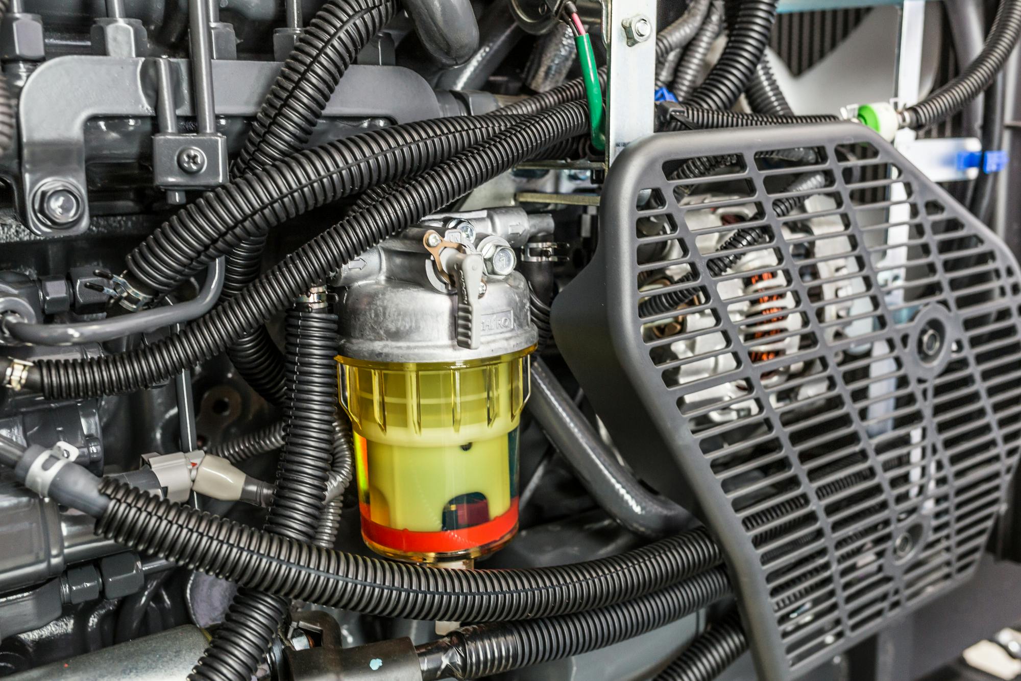 MOTOR