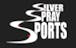 Company logo for 'Silver Spray Sports - Fenton'.