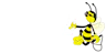Company logo for 'B and B Sports, Inc. - Delhi'.