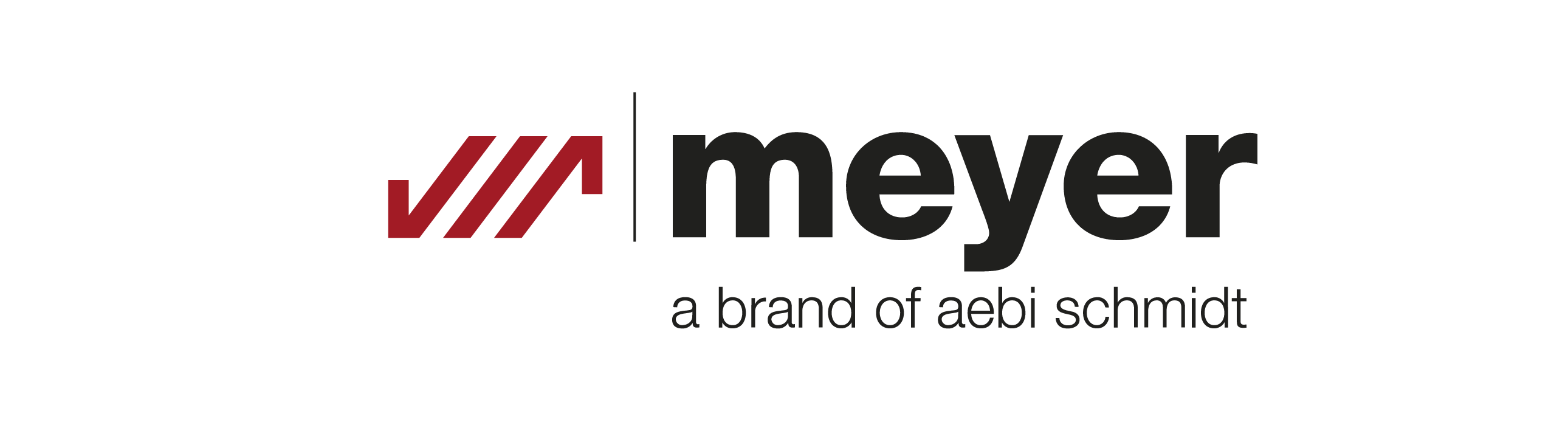 Company logo for 'Meyer Products'.