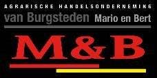 Company logo for 'LMB VAN BURGSTEDEN'.